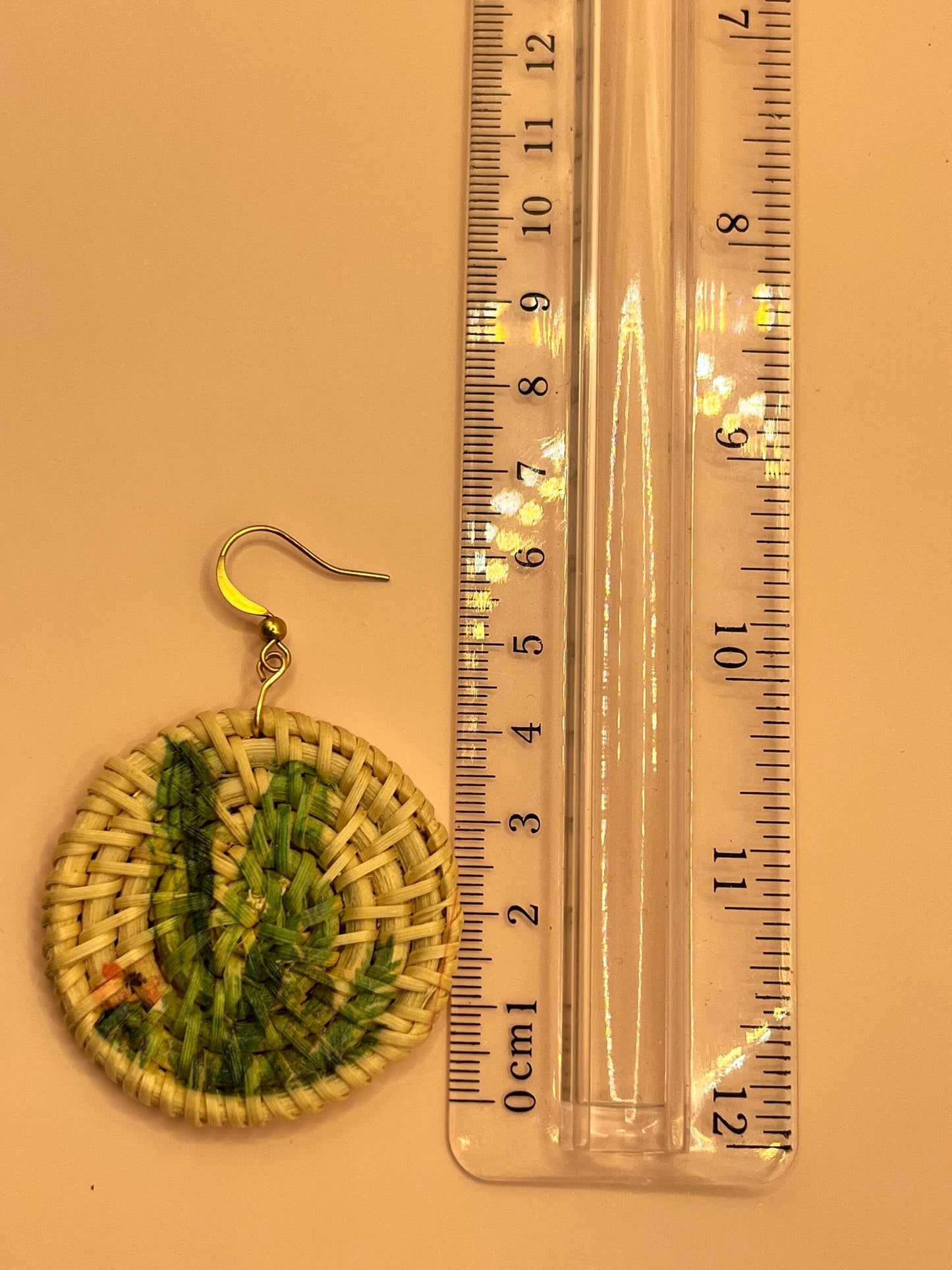 Painted Rattan Cactus Earrings